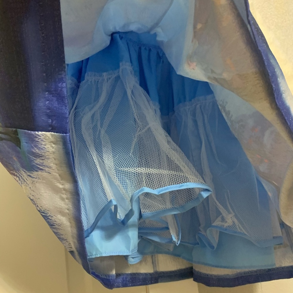 Pippa and julie frozen 2 dress